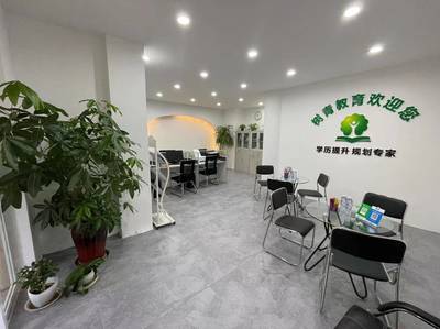 深耕教育咨詢，點亮成長之路——河南樹青教育咨詢服務解析